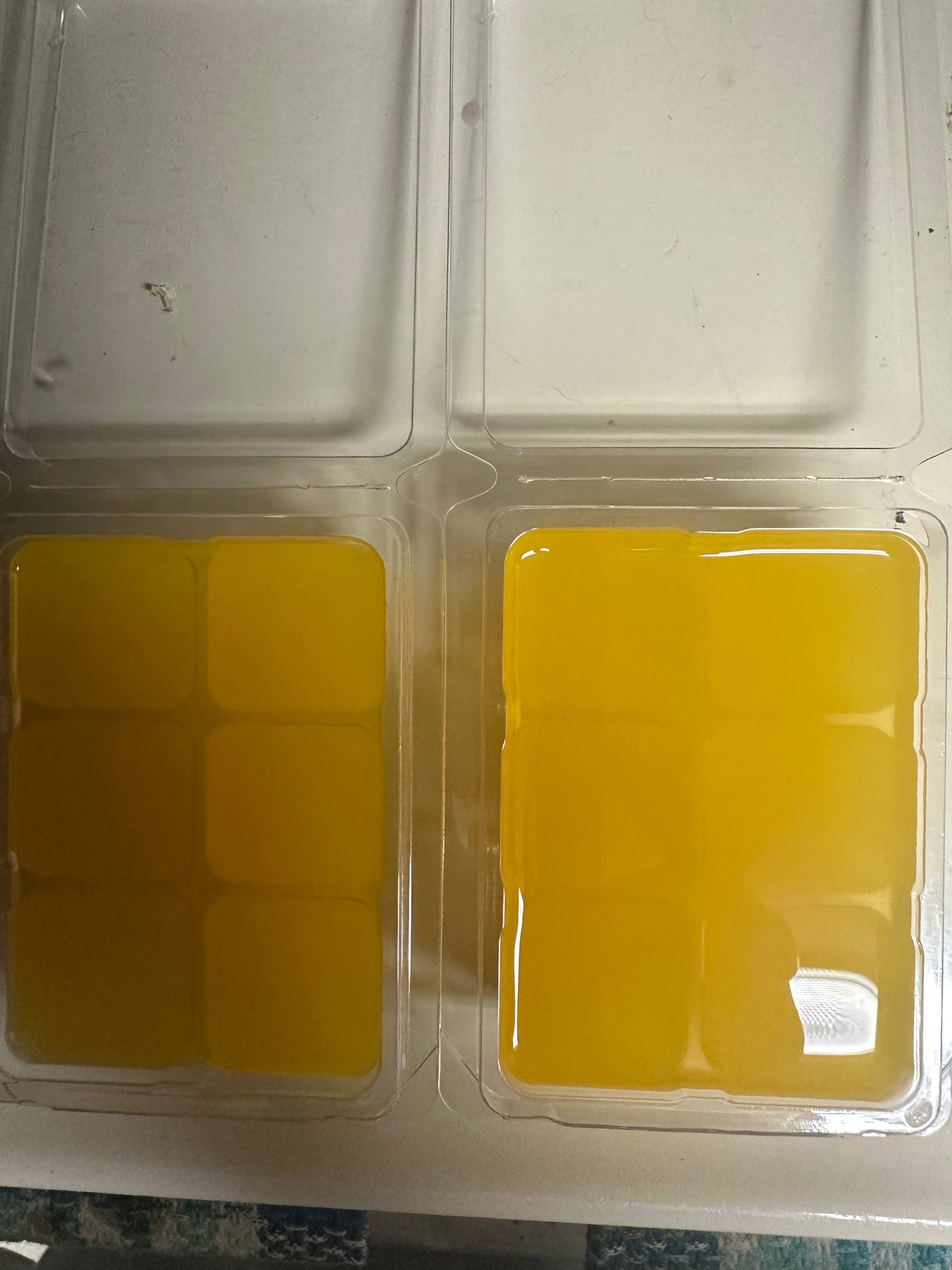 Beach wax melts